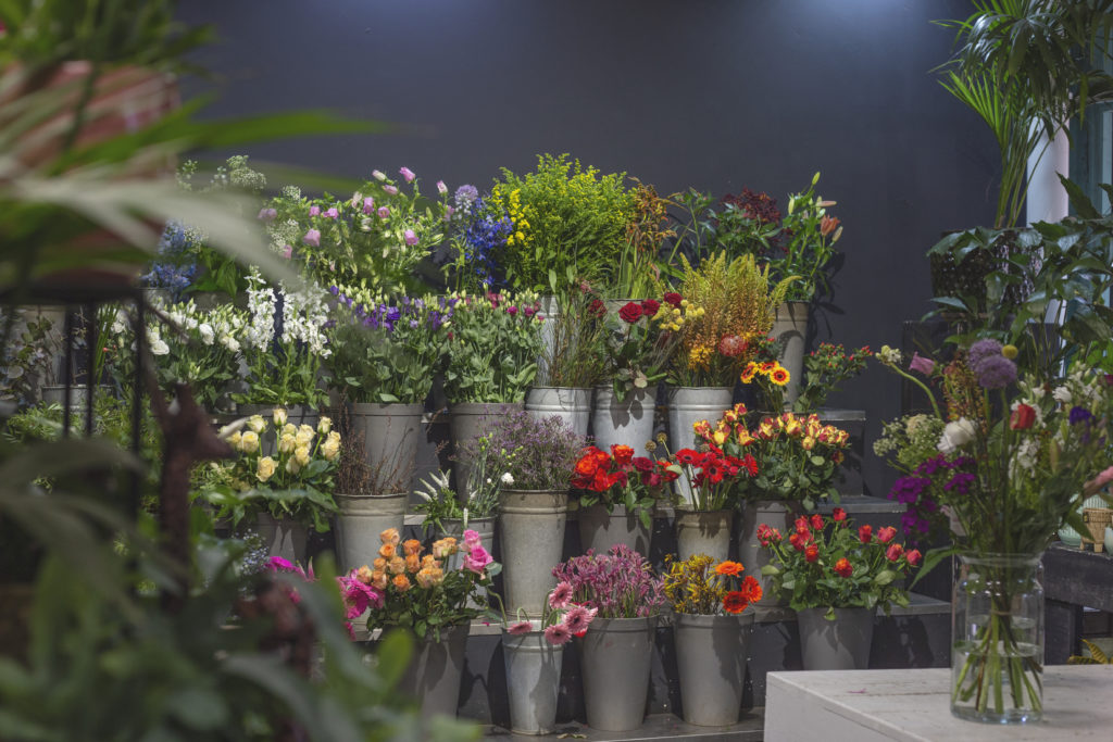 Haat viering scherm Bloemen Bezorgen Groningen | Bezorg Iemand Een Geluksmomentje