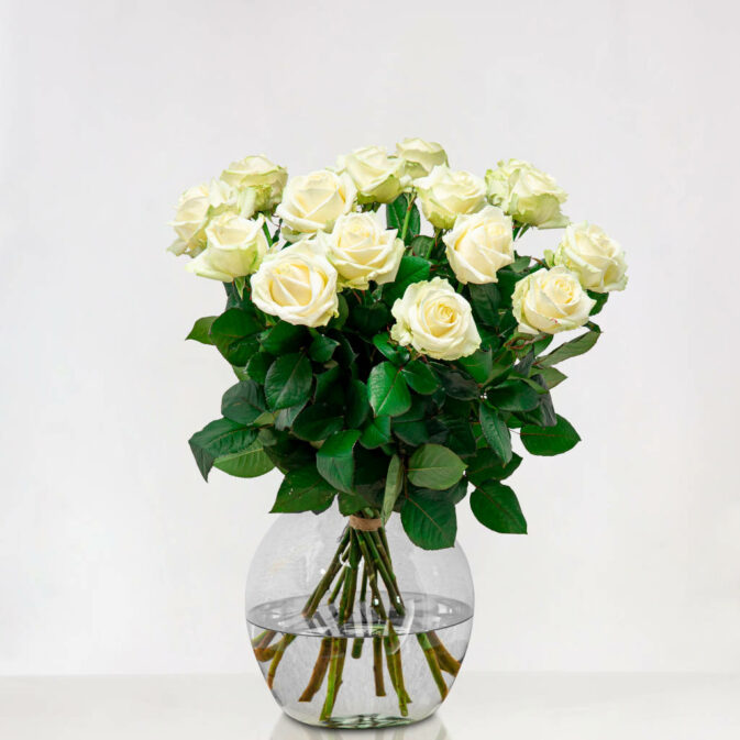 Witte rozen met grote knop